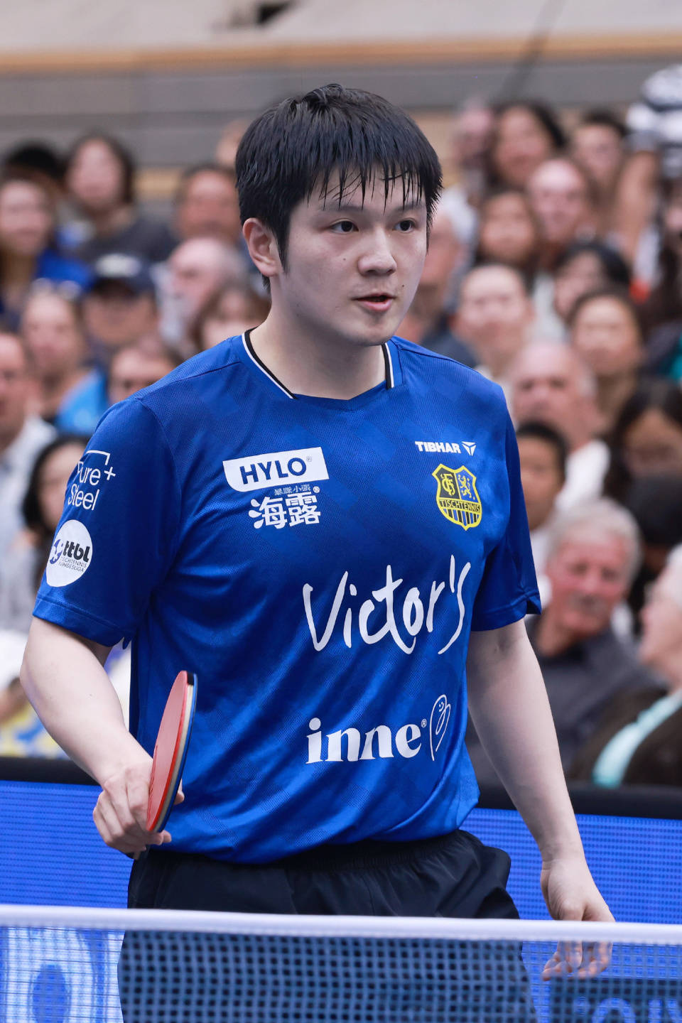 关于波兰乒乓球队横扫英国乒乓球队，樊振东爆发神勇的信息