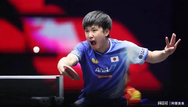 奥地利乒乓球队逆转中国乒乓球队，张本智和统治全场的简单介绍