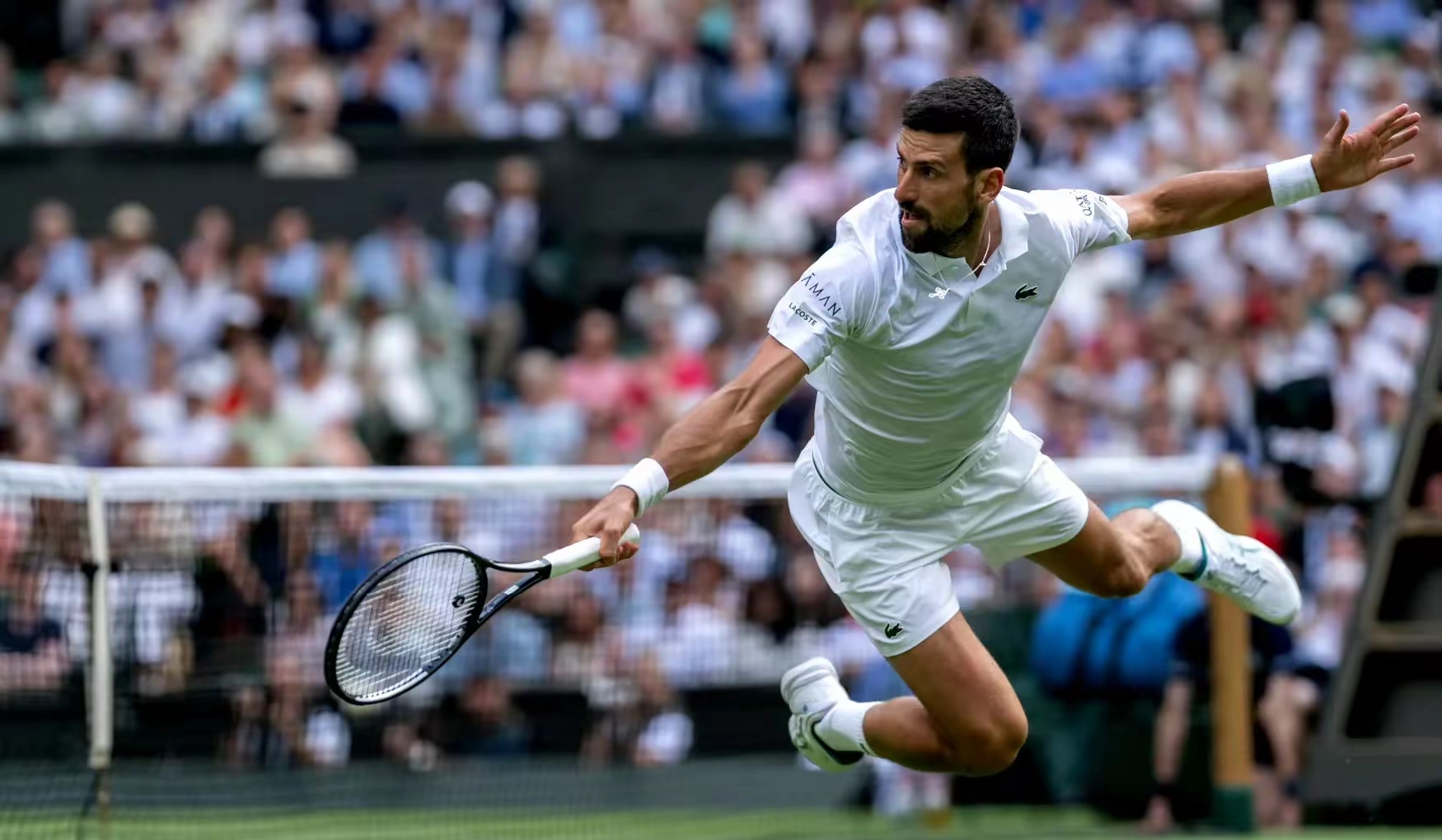 关于无懈可击的表现，选手成为焦点的信息