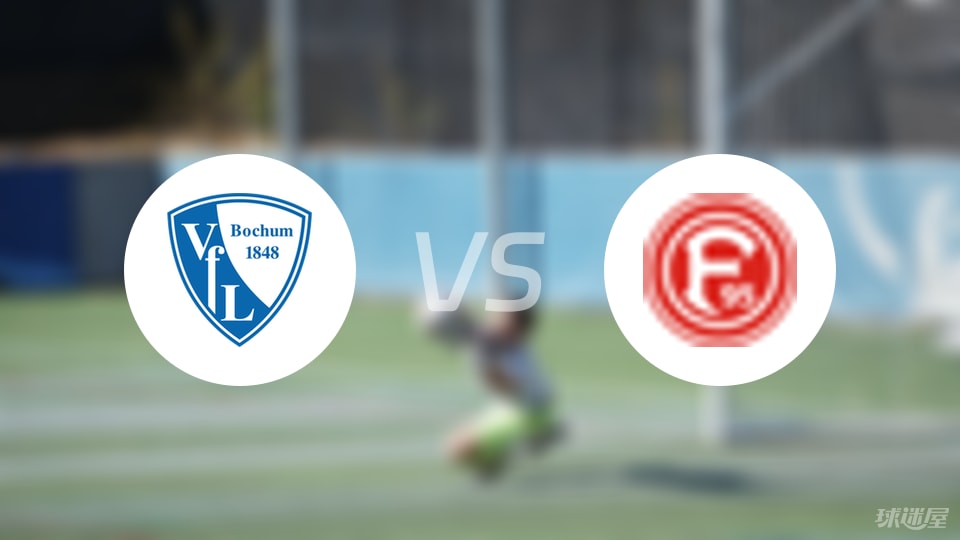 波鸿主场大败，实力有所不足的简单介绍