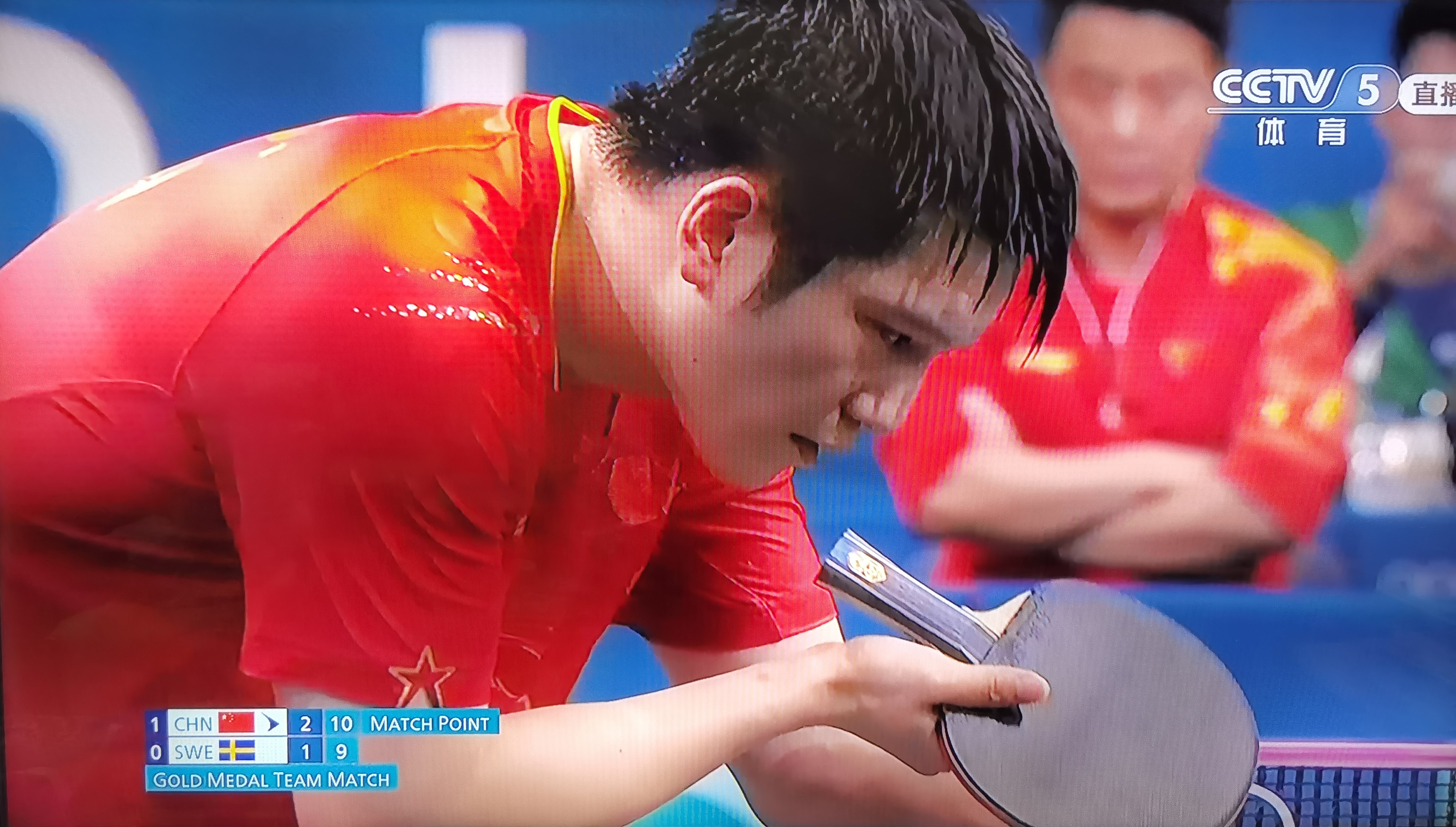 法国乒乓球队翻盘瑞典乒乓球队,樊振东惊艳世界的简单介绍 法国乒乓球队翻盘瑞典乒乓球队,樊振东惊艳世界的简单介绍