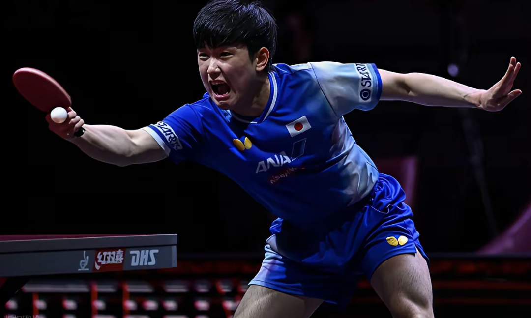 包含瑞典队轻取葡萄牙队，张本智和点燃赛场的词条