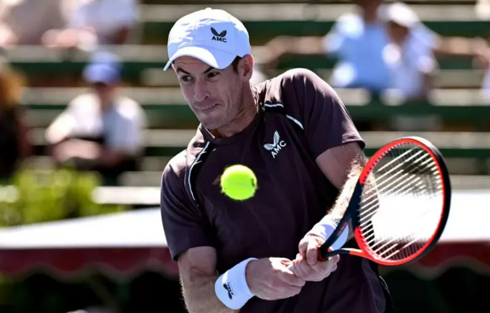 ATP总决赛绝杀澳网，穆雷惊艳四座