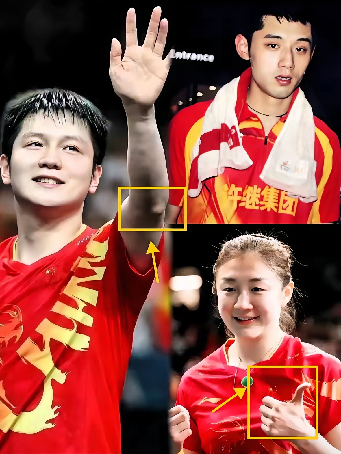 中国队碾压葡萄牙队，张继科高光表现的简单介绍