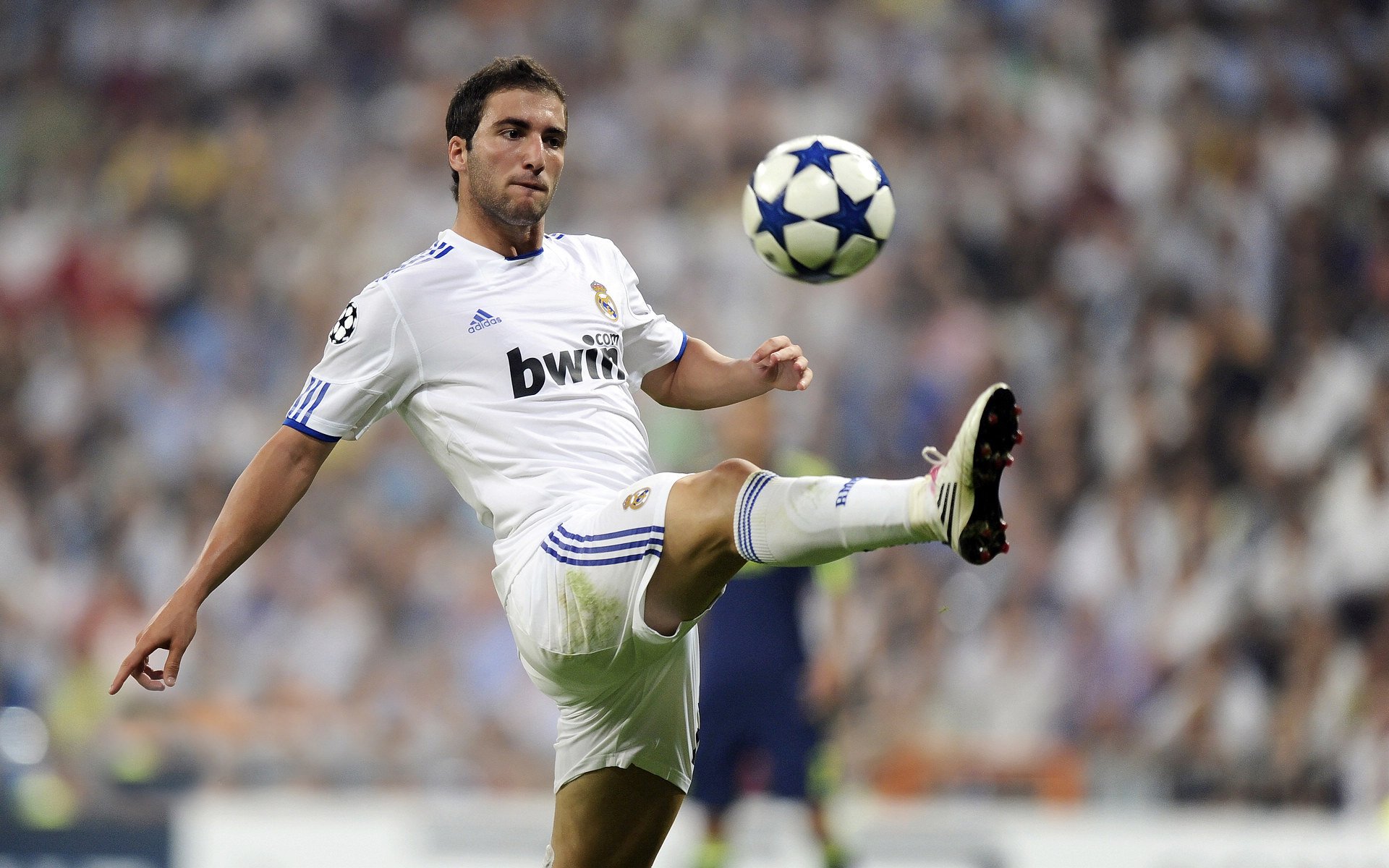 帕尔默存在感拉满，秘鲁冲垮韩国，一场跨越文化与地理的碰撞