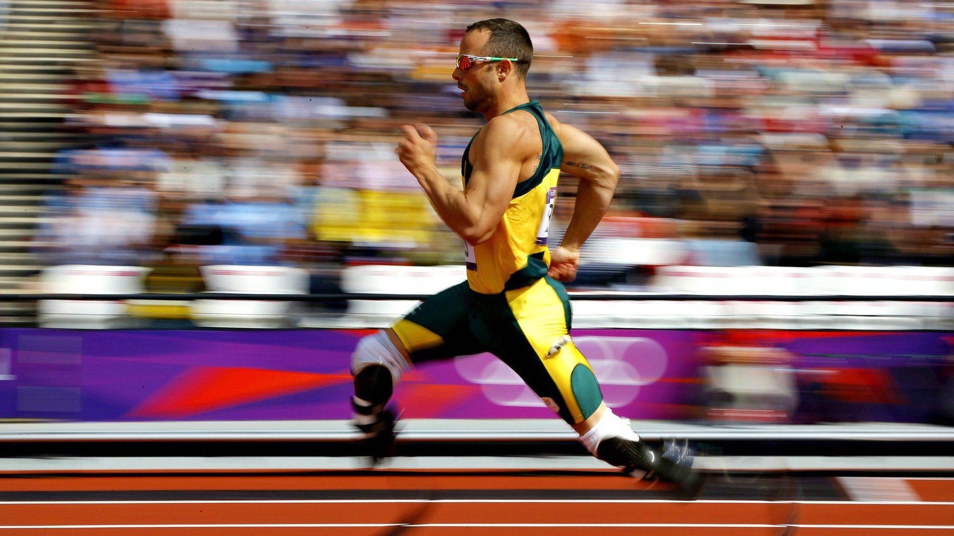 锡安统治级数据撕裂防线，猛龙战术体系全面压制北京队