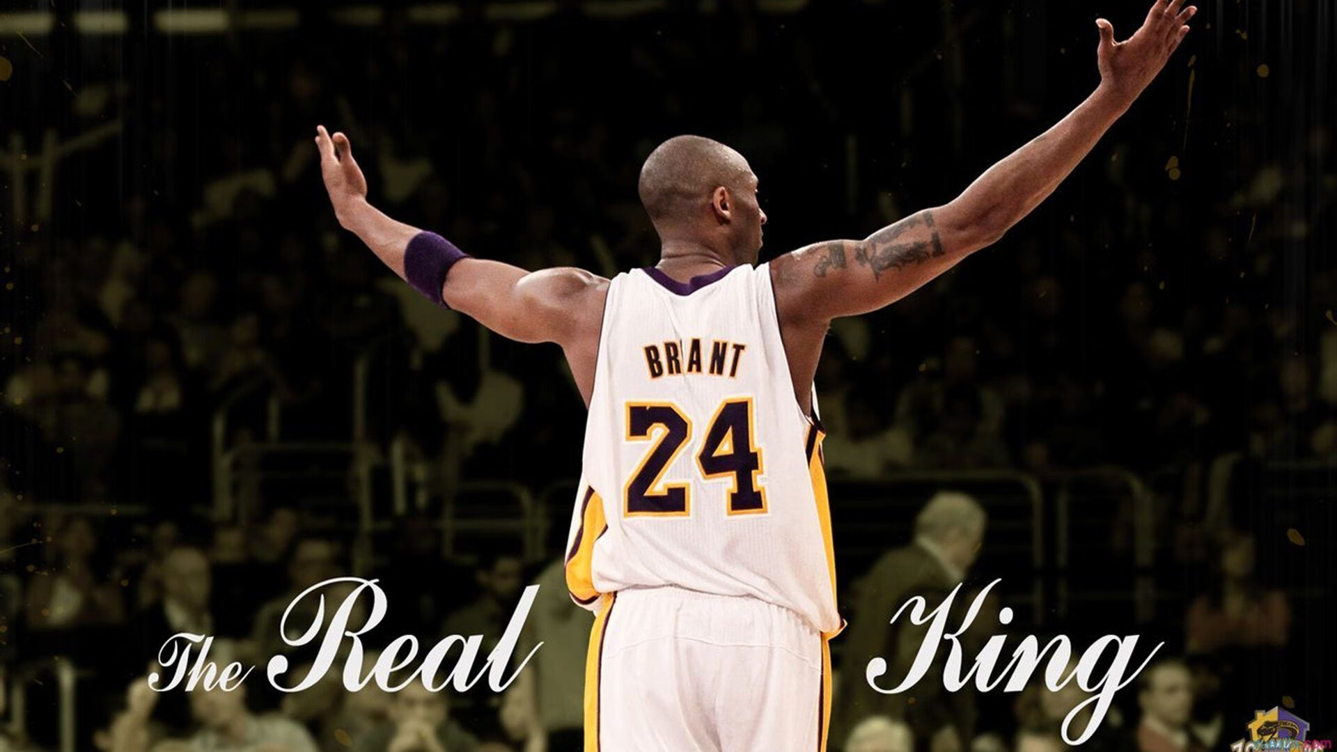 范弗利特爆发撕裂防线，国王防守体系锁死热火进攻